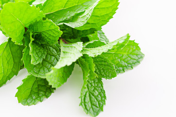 Fresh raw mint leaves.