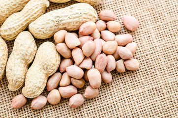 Peeled peanut on sack.