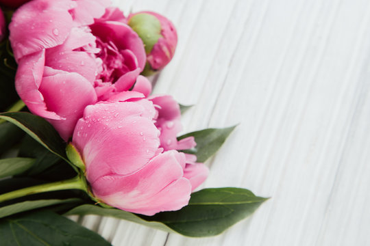 Summertime background with peonies flowers