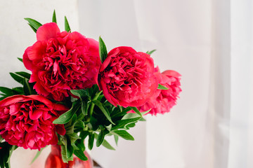 spring-summer concept, a red peony bouquet on a white background with copyspace