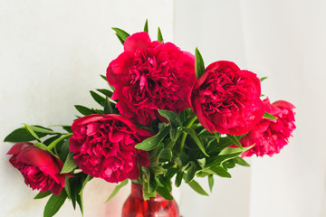 spring-summer concept, a red peony bouquet on a white background