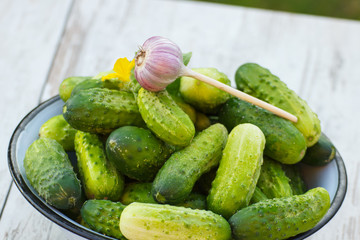 Cucumbers and garlic in metal bowl in garden on sunny day