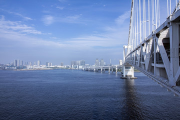 modern cityscape and iron bridge panorama