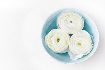 White ranunculus flowers Spa wellness background