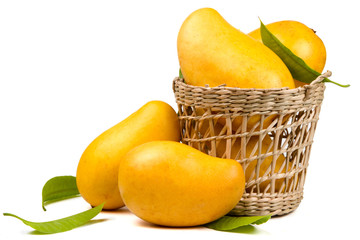 Ripe mangoes fruit in basket with leaves isolated white background © piyaset