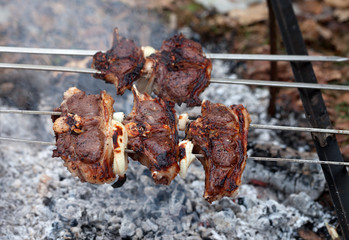 Shashlik of lamb