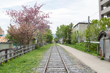 Naklejka premium The Temiya Line, old railway operations in 1880 and the line formally closed in 1985, Otaru Hokkaido Japan