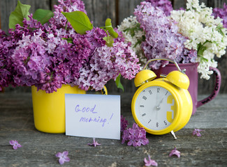 Bouquet of a spring lilac
