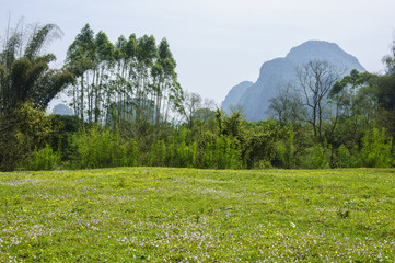 The beautiful rural scenery in spring