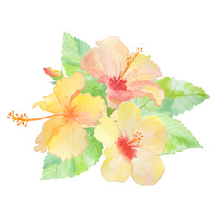 Bouquet of hibiscus flowers. Watercolor flowers.