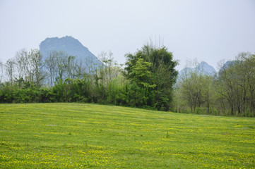 The beautiful rural scenery in spring