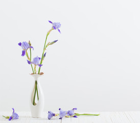 boeket van lente paarse Iris in een vaas op wit