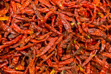 Dried red chille peppers background