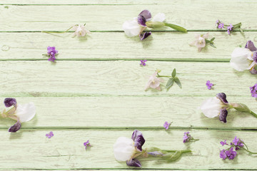 flowers on green wooden background