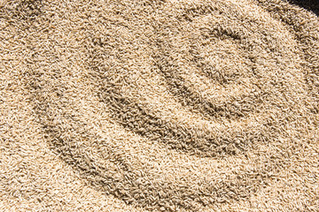 Brown rice background texture