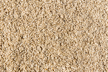 Brown rice background texture