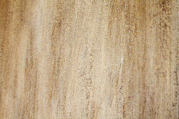 текстура дерева окрашенная краской, патина © oksioma