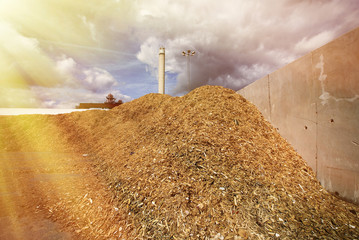 storage of wooden fuel (biomass) against blue sky