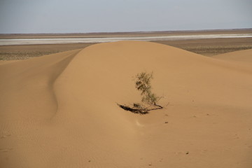 Fototapeta na wymiar désert du Maranjab, Iran