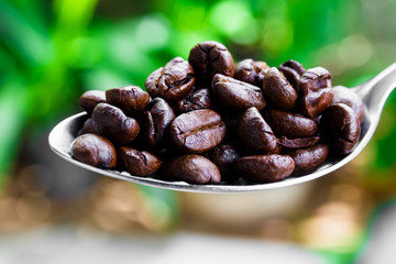 Coffee Bean on the Spoon