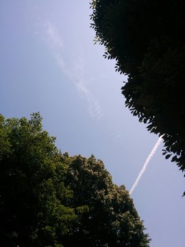 ひこうき雲
