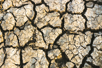 The Cracked Earth Ground Texture
