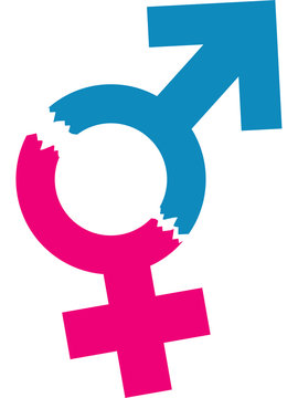Logo, Symbol, Signet oder Flat Icon zu Gender Mainstreaming