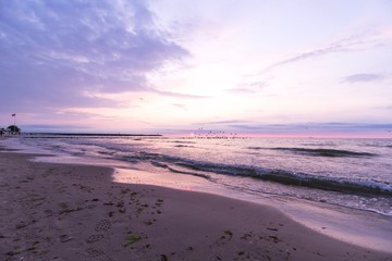 Birds flying over the breakwater, Baltic Sea