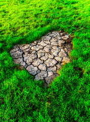 The Cracked Earth Ground In The Field