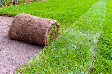 making new lawn