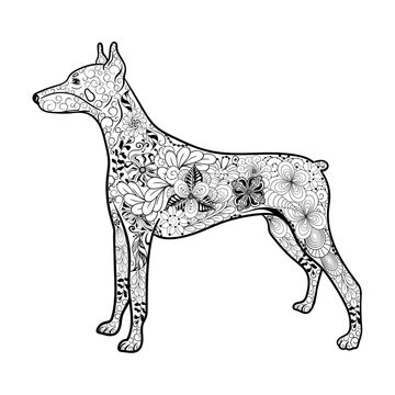 recommend clip art: Doberman Dog  doodle