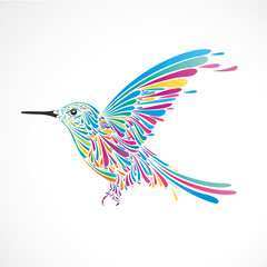 Obraz premium colibri,forme graphique