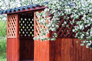 A wooden gazebo with lattice walls and flowering tree
