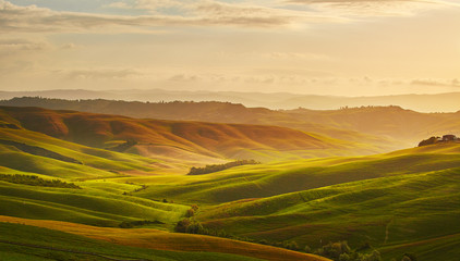 Naklejka na ściany i meble Beautiful view of green fields in Tuscany