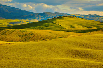 Beautiful view of green fields in Tuscany