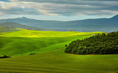 Fototapeta na wymiar Beautiful view of green fields in Tuscany