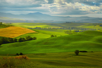 Fototapeta na wymiar Beautiful view of green fields in Tuscany