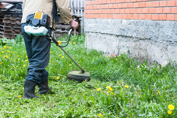 Man mows the grass and dandelions lawn mower in front of house