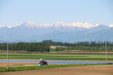 Cultivated land with white mountain view