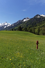 Fototapeta na wymiar mountain landscape in spring 