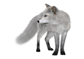 3D Rendering Polar Fox on White