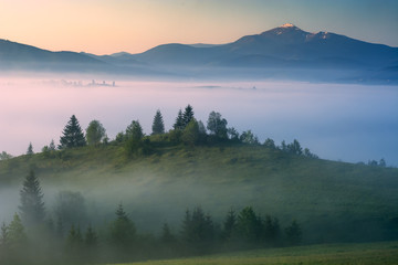 Fototapeta na wymiar Valley covered with majestic pink fog