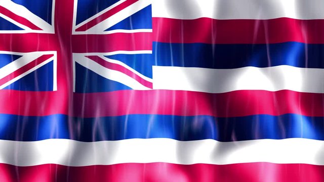 Hawaii State Flag Animation, 

High Quality Quicktime animation works with all Editing Programs, 