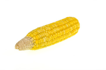 Corn isolated on white background