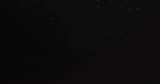 small real dust particles floats over black backgound, 4k prores footage