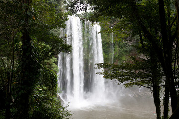 Misol-Ha Waterfall near by Palenque in Chiapas, Mexico