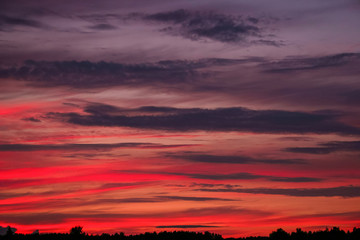bright summer sunset over the lake in the woods