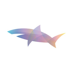 Color shark gradient overlay illustration logo modern trends