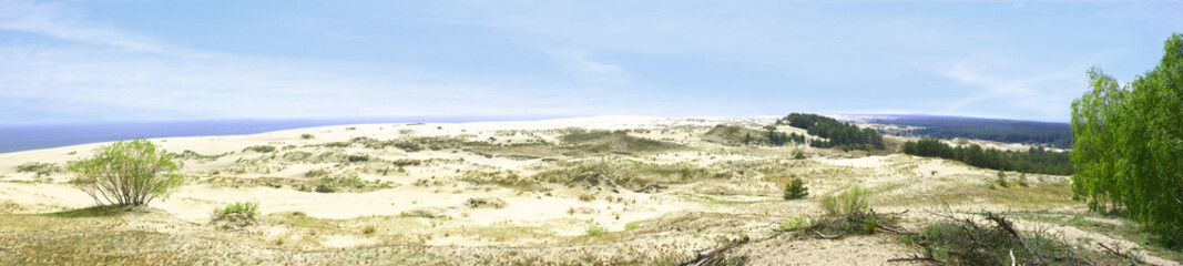 Panorama of the Curonian spit
