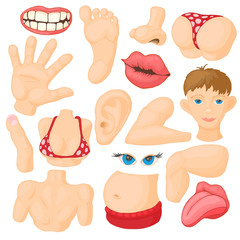 Human body parts icons set